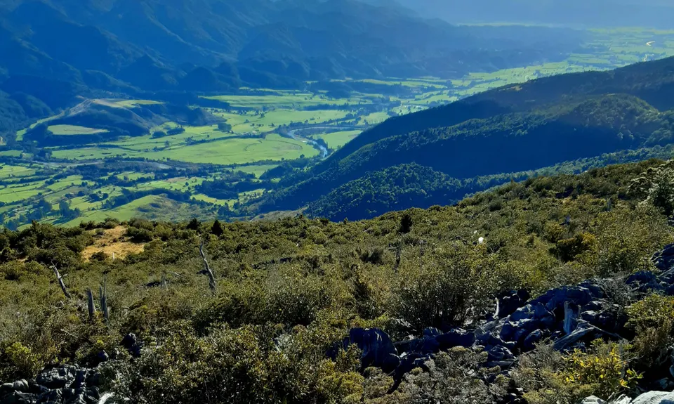 Takaka Hill Walkway, Tasman