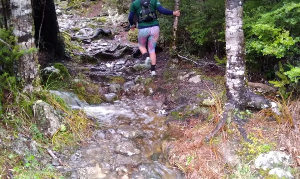 St Arnaud Discovery Loops, Tasman
