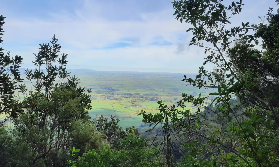 Te Whare Okioki & Mangamuka Huts Loop, Waikato
