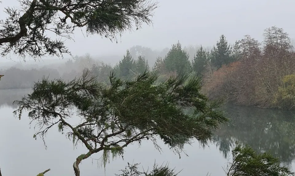 Waikato River Trails - Atiamuri to Whakamaru , Waikato