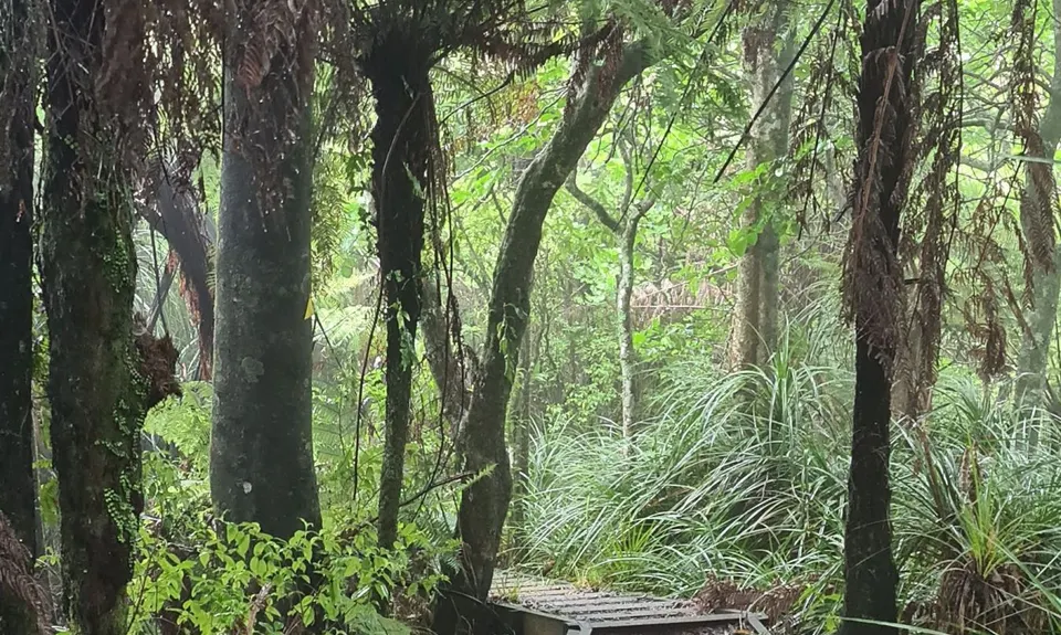 Hilly Hakarimata Loop, Waikato