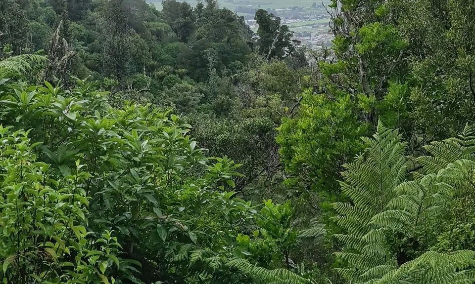 Hilly Hakarimata Loop, Waikato