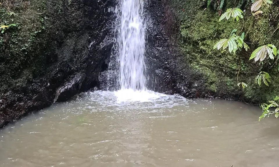 Hilly Hakarimata Loop, Waikato