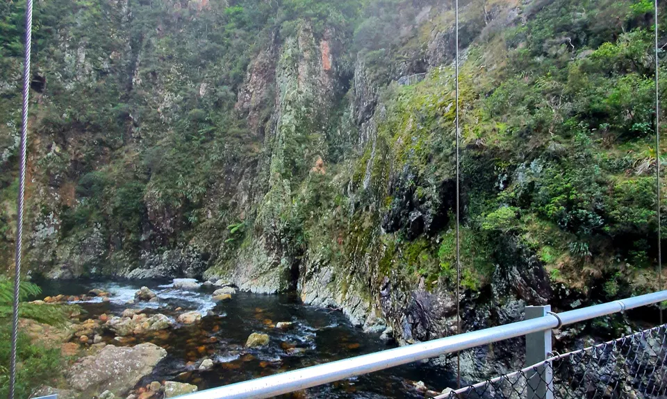 Karangahake Gold, Waikato