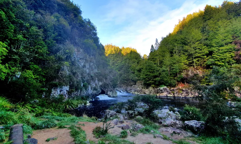 Karangahake Gold, Waikato