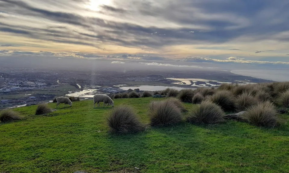 Mt Pleasant Elevator, Canterbury