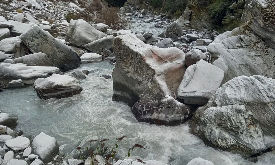 Timaru Creek Loop, Otago