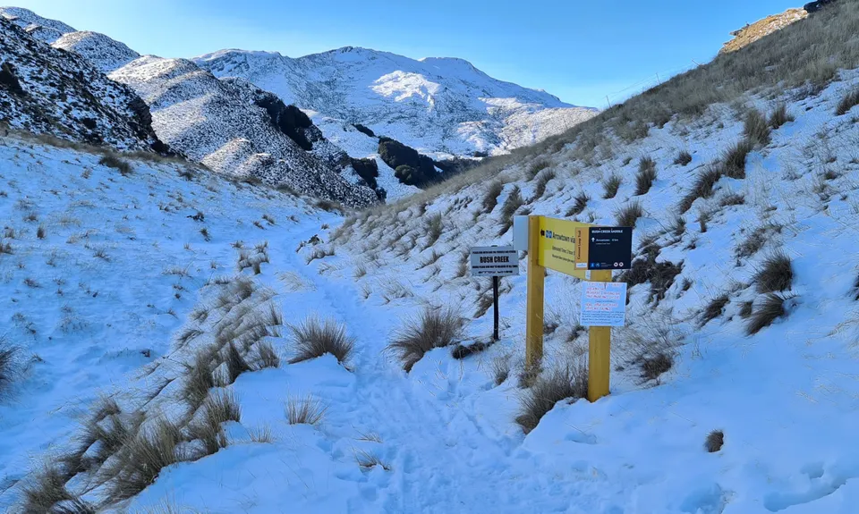 Bush Creek Banger and The Steiger!, Otago