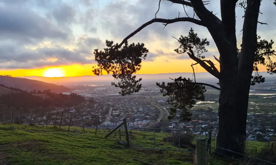 Beer Bum Bluffs, Canterbury