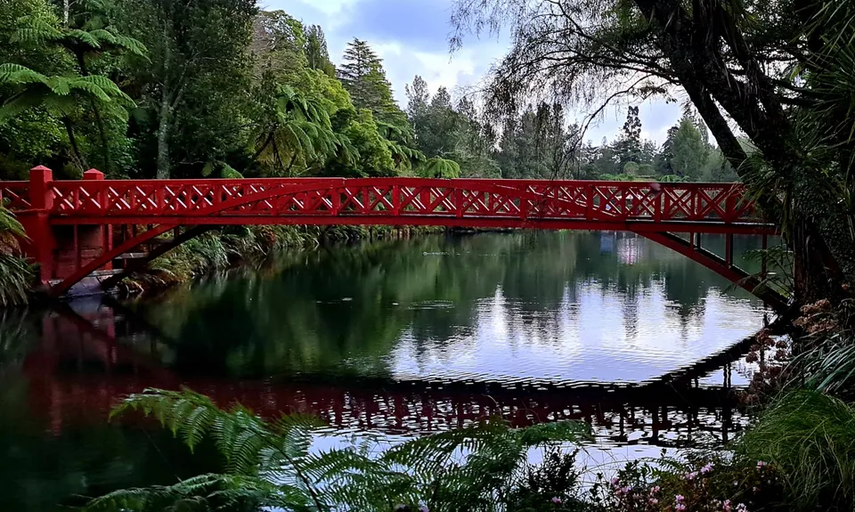 Ninja Stealth Urban Trail, Taranaki