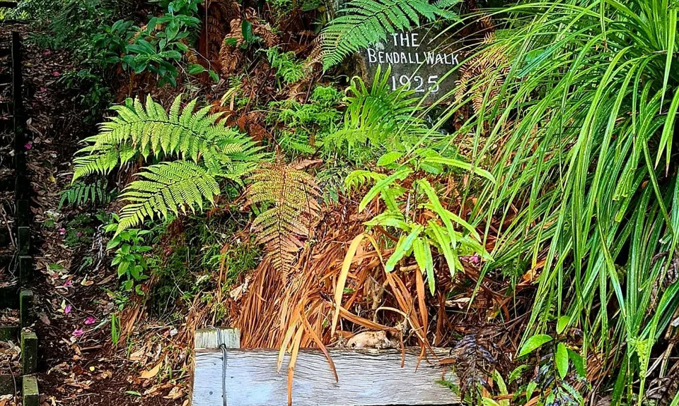 Ninja Stealth Urban Trail, Taranaki