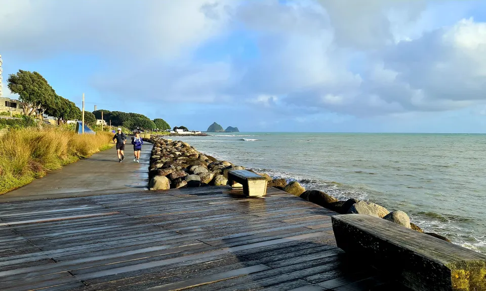 Ninja Stealth Urban Trail, Taranaki