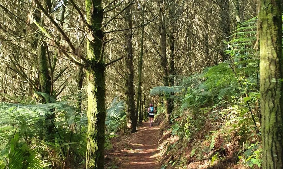 Cougar Park Dash  , Waikato