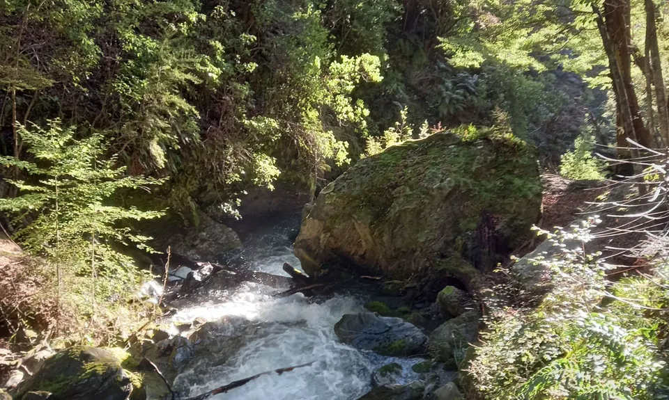 Fern Burn Hut, Otago