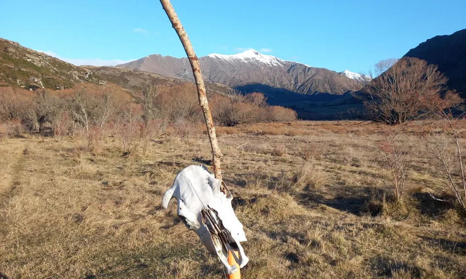 Motatapu River Track, Otago