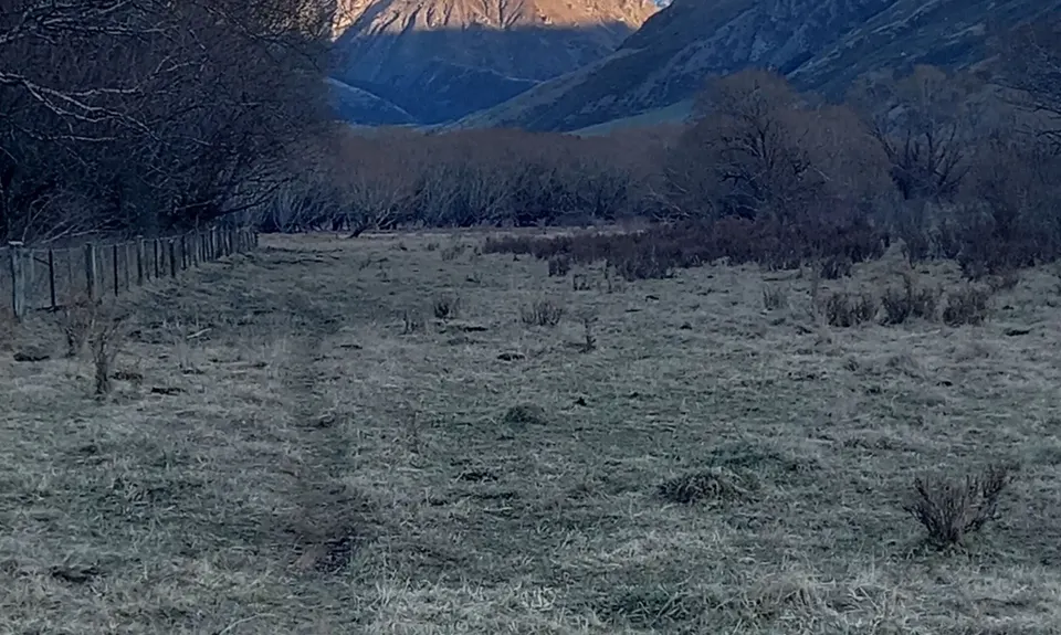 Motatapu River Track, Otago