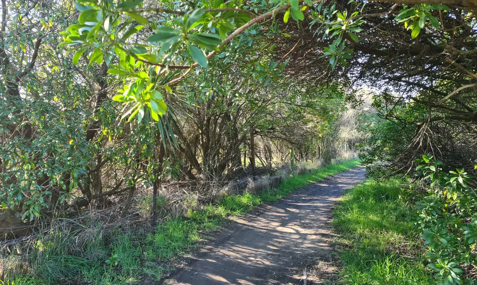 Heathcote Meander, Canterbury