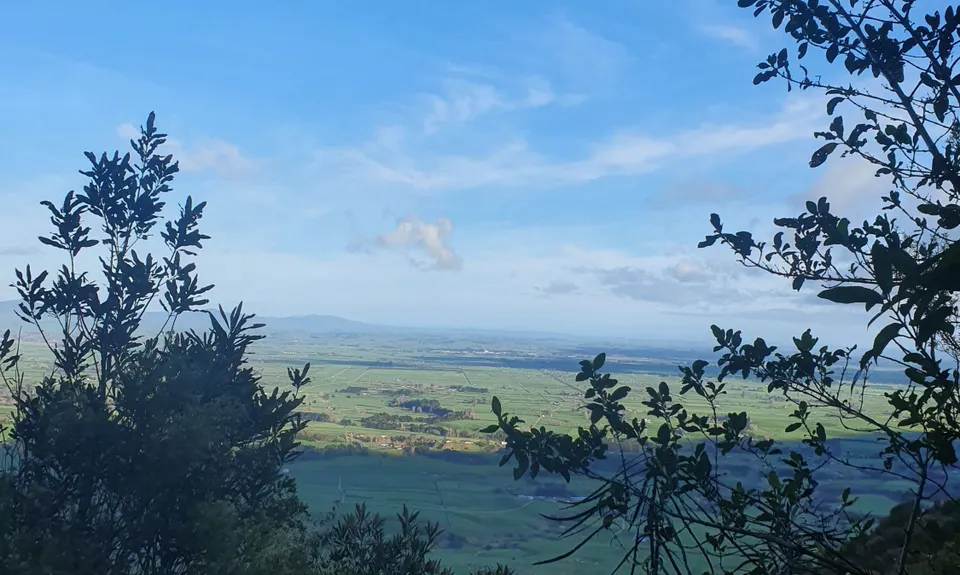 Te Whare Okioki & Mangamuka Huts Loop, Waikato