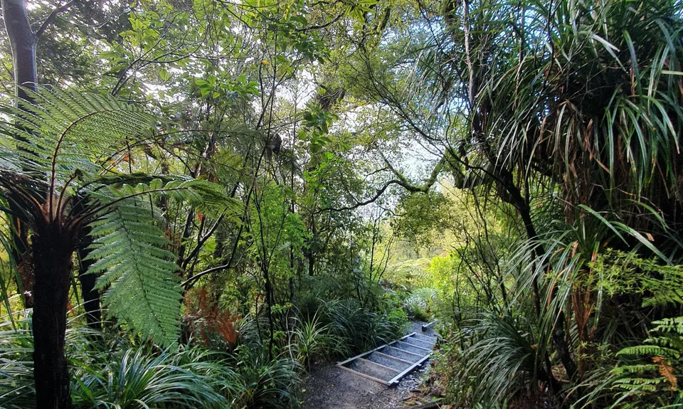 Hilly Hakarimata Loop, Waikato