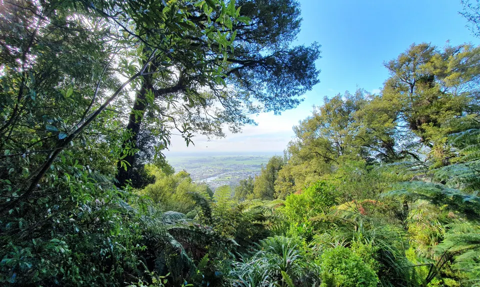 Hilly Hakarimata Loop, Waikato