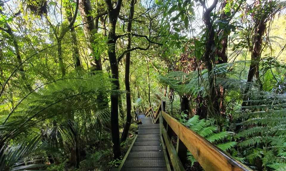 Hilly Hakarimata Loop, Waikato