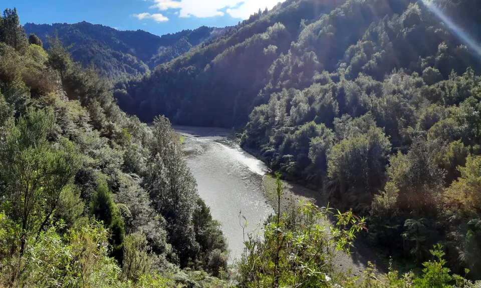 Te Waiti Track, Bay of Plenty