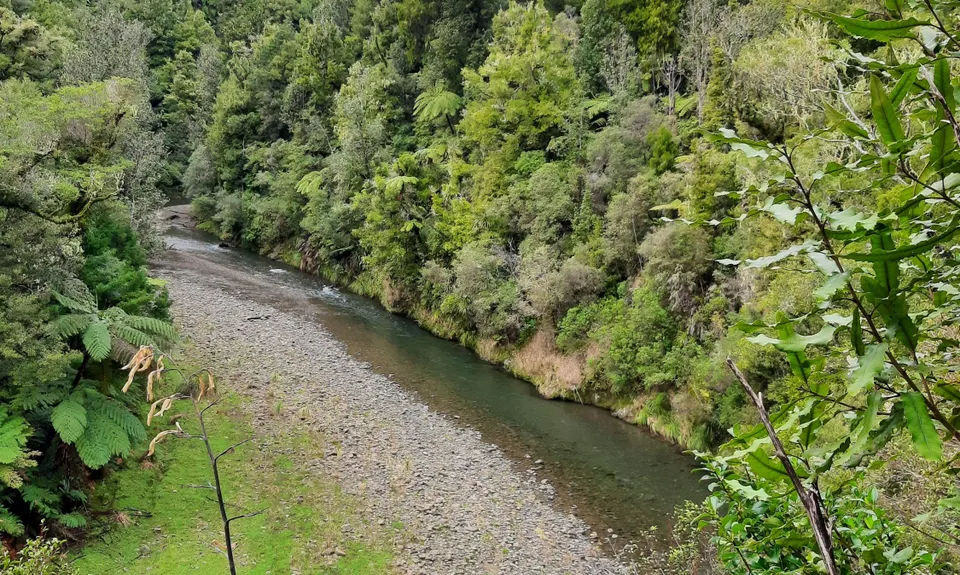 Te Waiti Track, Bay of Plenty