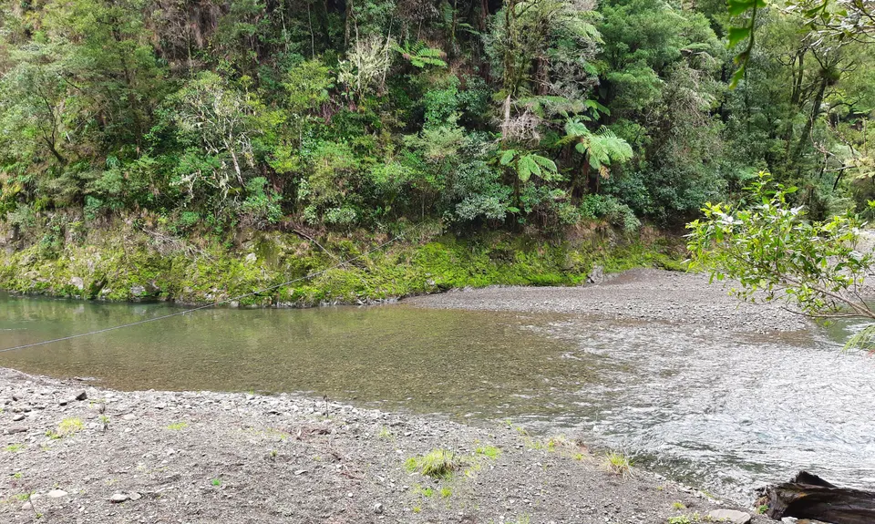 Te Waiti Track, Bay of Plenty