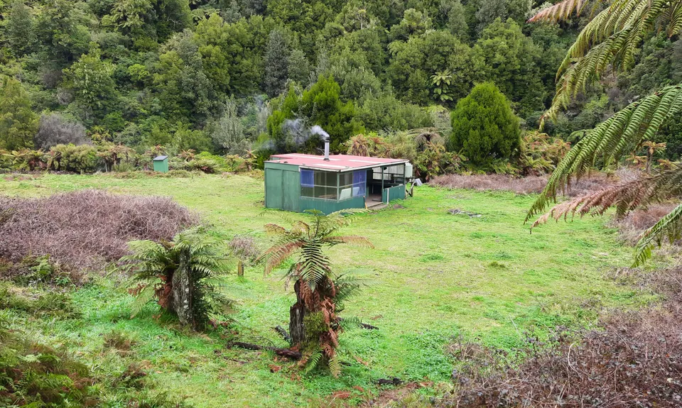 Te Waiti Track, Bay of Plenty