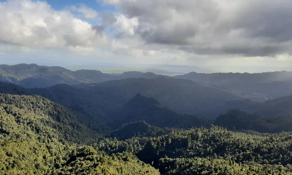 Kaitarakihi Summit, Waikato