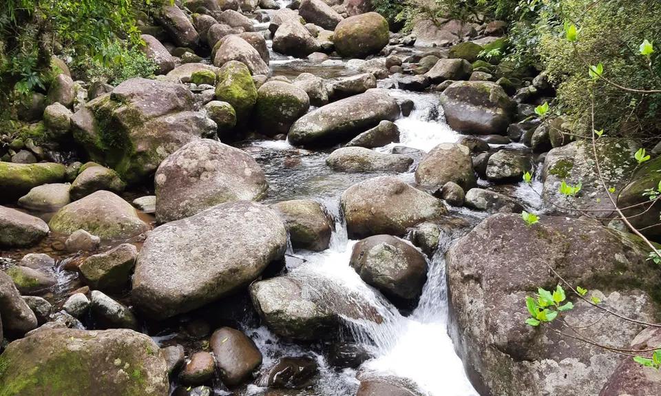 Wairere Falls, Waikato