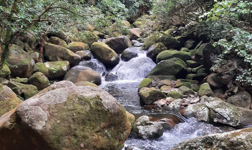 Wairere Falls, Waikato
