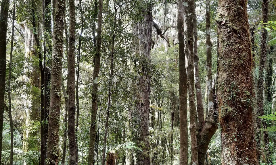 Mount Titiraupenga , Waikato