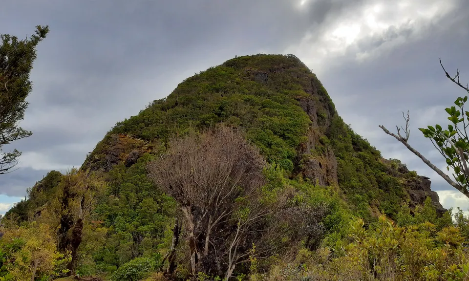 Mount Titiraupenga