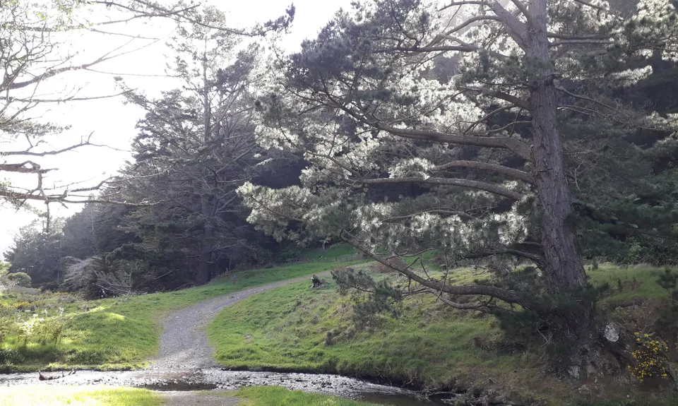 Battle Hill - Puketiro Loop, Wellington
