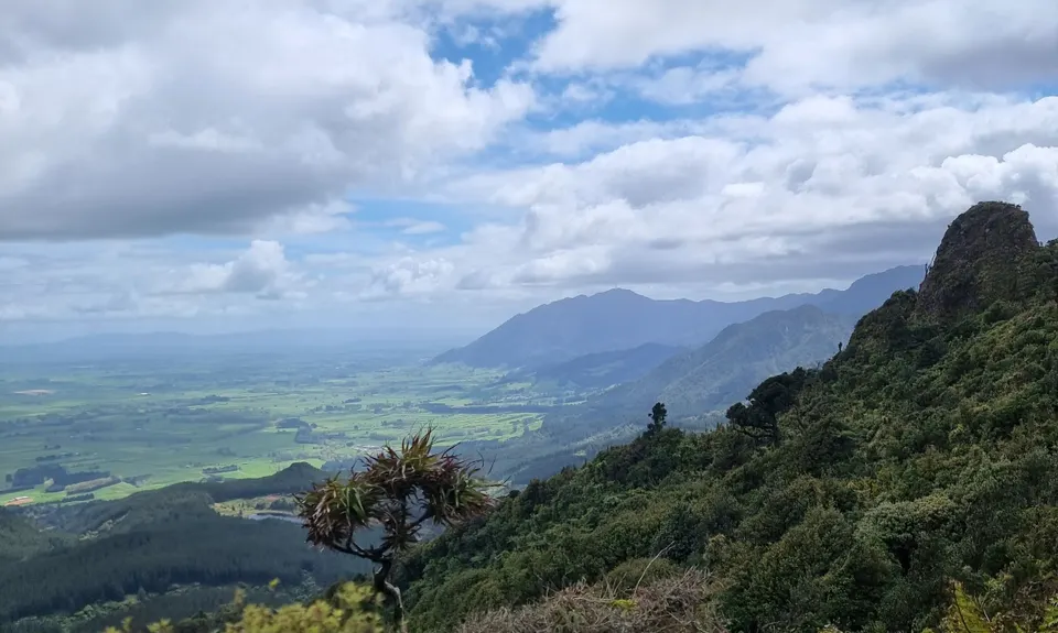 Kaimai Ranges North-South Track, Bay of Plenty