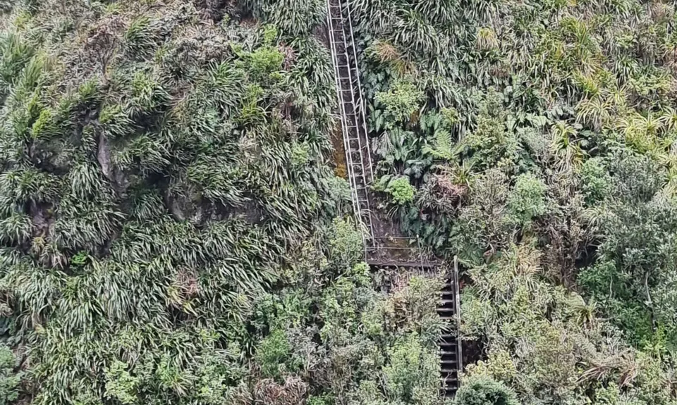 Kaimai Ranges North-South Track, Bay of Plenty