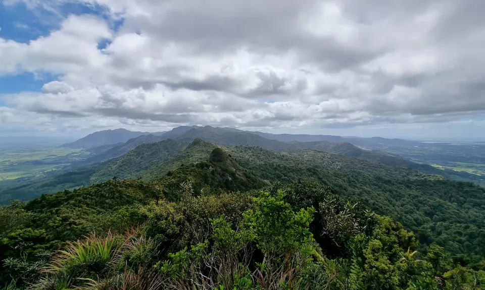 Kaimai Ranges North-South Track, Bay of Plenty