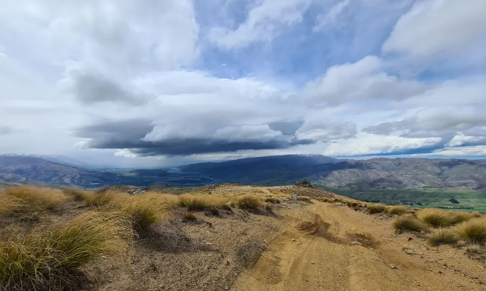 Young Australian, Otago