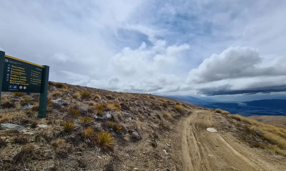 Young Australian, Otago