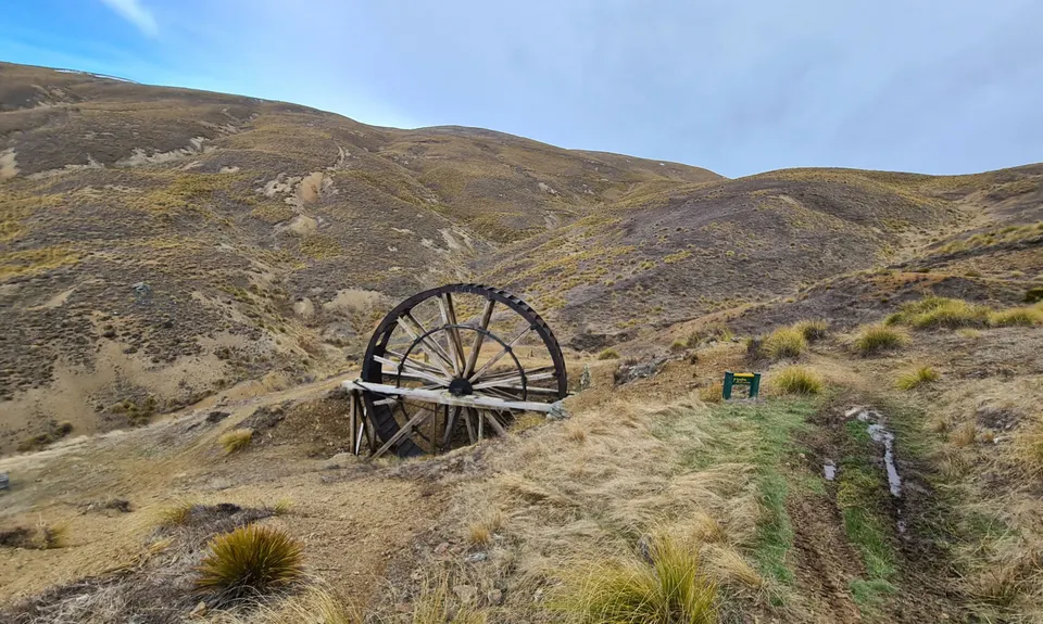 Young Australian, Otago