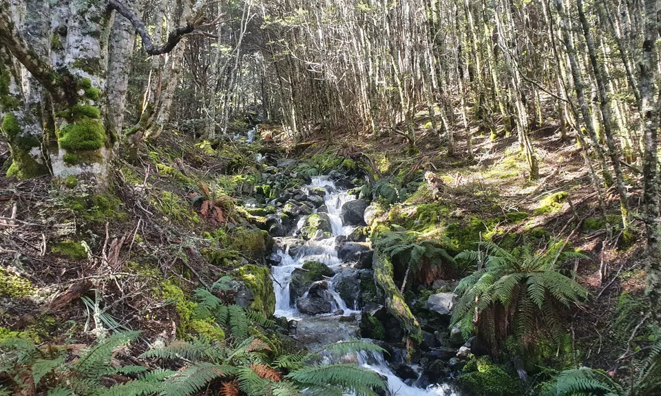 Cass-Lagoon Trail, Canterbury