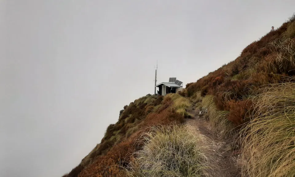 Little Peel Loop, Canterbury
