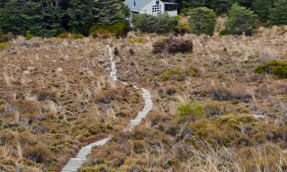 Horopito Schmito, Manawatu - Wanganui
