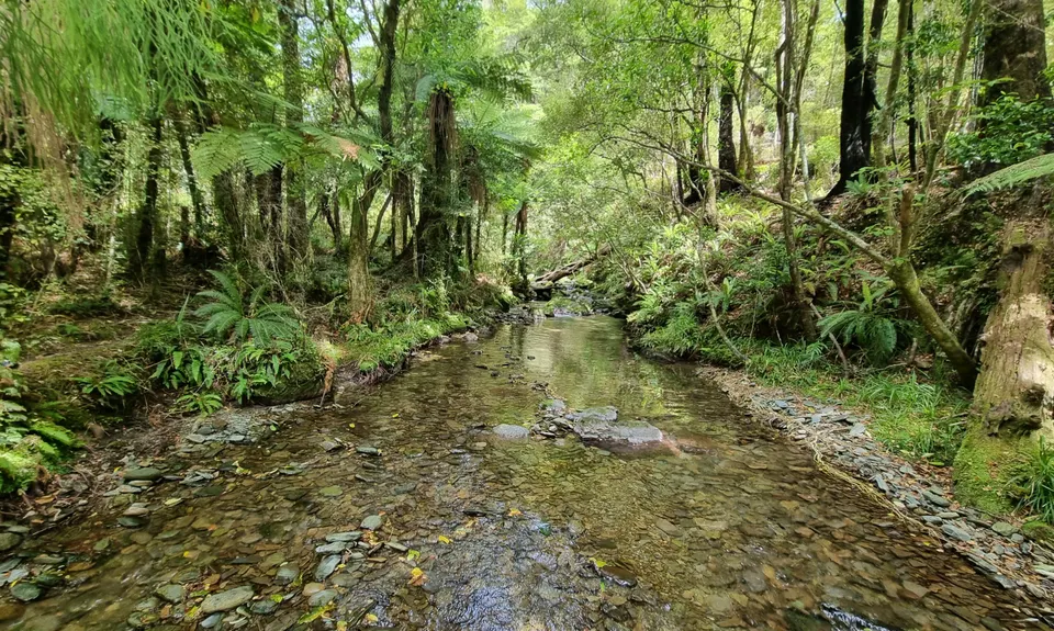 Maitai Cave Track, Nelson