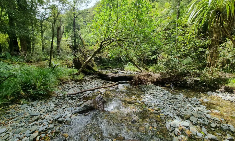 Maitai Cave Track, Nelson