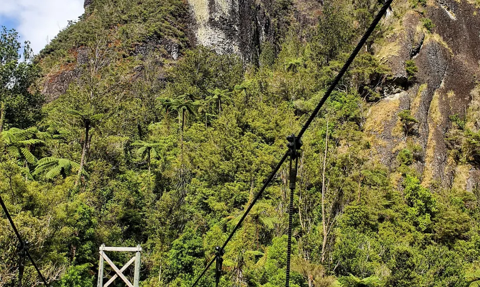 Waitawheta Tramway - Bogeys and Bluffs, Waikato