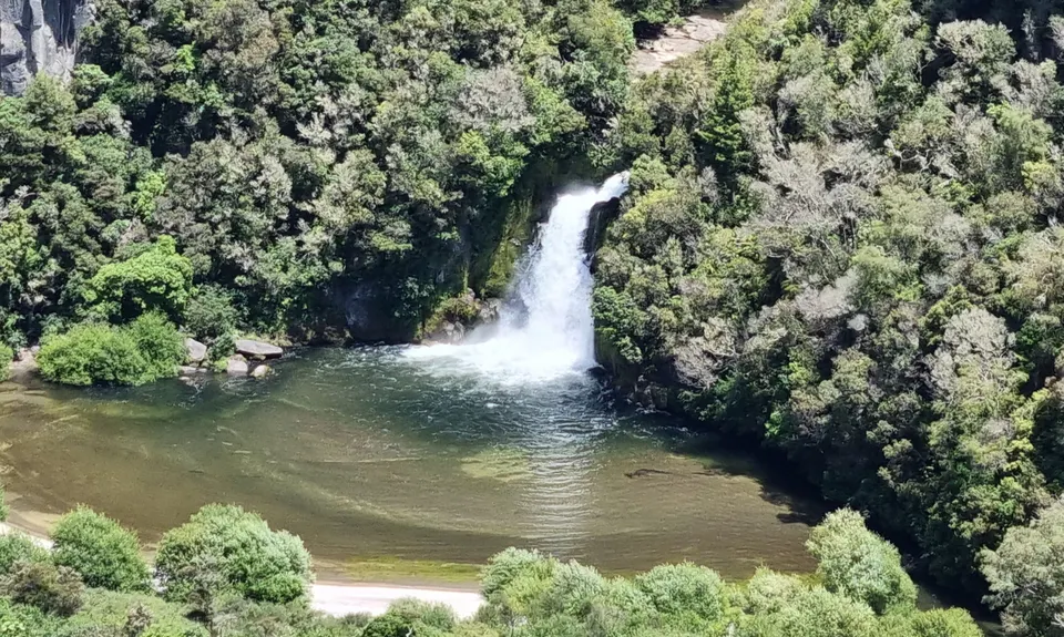 Waihaha Trail - Out & Back, Waikato