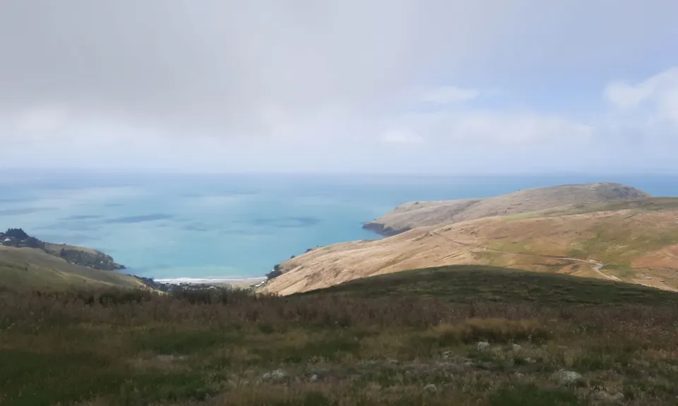 Godley Head loop, Canterbury