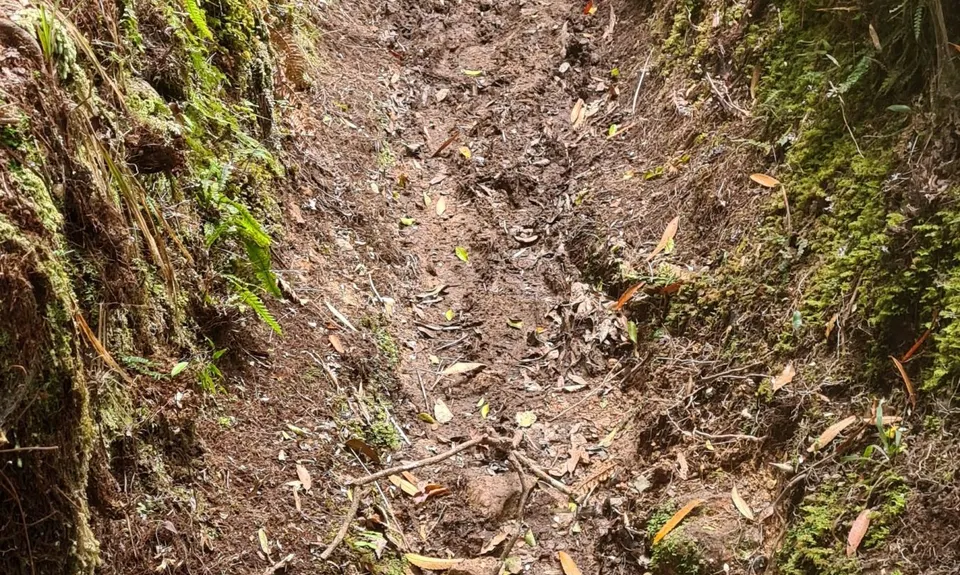 Kaimai Summit to Wairere Falls , Waikato